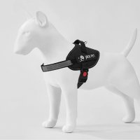 Нов регулируем колан за голямо куче Нагръдник за Каишка Разходка, снимка 2 - За кучета - 39907689