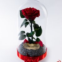 Вечна Роза (ЕСТЕСТВЕНА) в ГОЛЯМА стъкленица / Уникален подарък за рожден ден на жена, снимка 8 - Декорация за дома - 32673595