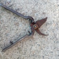 Стара лозарска ножица, снимка 2 - Антикварни и старинни предмети - 39186053