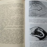 Клинична психиатрия. Част 1 Никола Шипковенски 1956 г., снимка 4 - Специализирана литература - 27590219