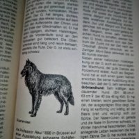 "Енциклопедия на кучето"-Германия, снимка 5 - Специализирана литература - 33458448