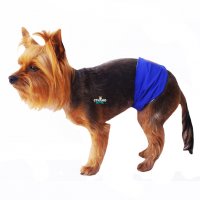 Хигиенен пояс за мъжко куче против маркиране Хигиенни дрехи за куче Пояс/Колан за мъжко куче , снимка 3 - За кучета - 27041359