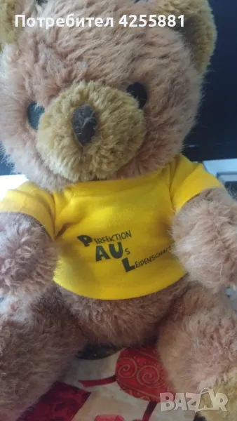 Плюшено мече с тениска, снимка 1