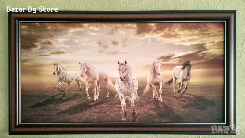 Картина Коне Апалуза. Размери 49 см. / 89 см., снимка 1
