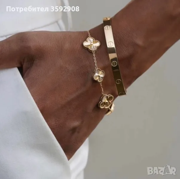 Гривна детелина, снимка 1