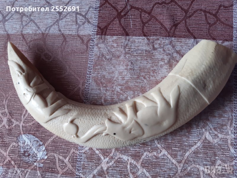 Кост, снимка 1