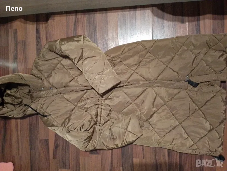 Зимна Шуба , снимка 1