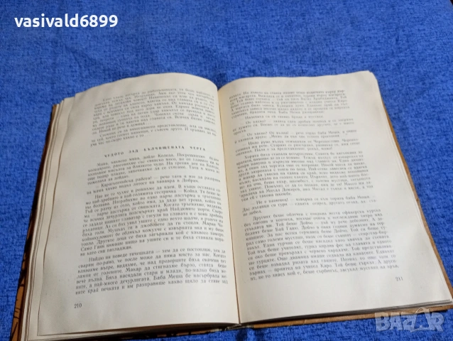 Иван Василев - Снежина , снимка 11 - Българска литература - 53297655