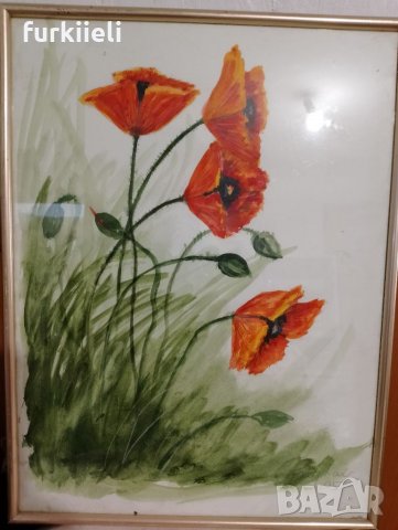 Рисувани картини с макове 41/31 см. 