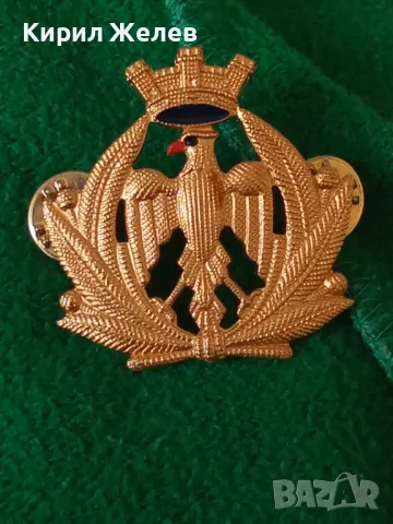 LA. MI. SUD. ROMA Рядка ИТАЛИАНСКА ПОЗЛАТЕНА ВОЕННА ЗНАЧКА от БЛАГОРОДНА СТОМАНА 36584, снимка 16 - Колекции - 39807474