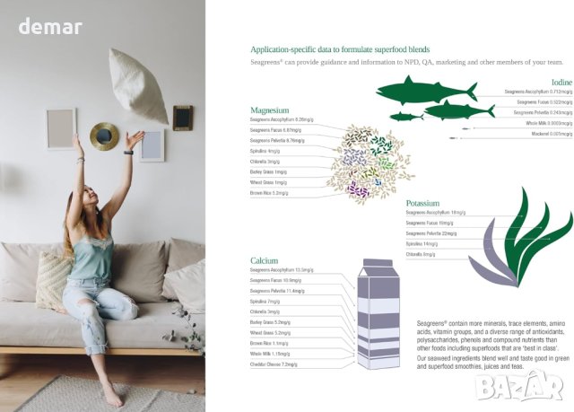 Seagreens Хранителна добавка с морски водорасли, Iodine Lite+ (90 капсули), снимка 3 - Хранителни добавки - 43119459