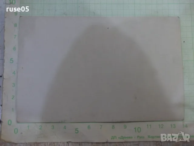 Снимка стара на излет сред природата - 1, снимка 2 - Колекции - 47905126