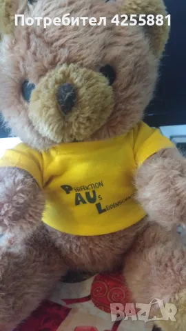 Плюшено мече с тениска