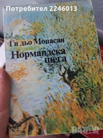 Книги-различни , снимка 14 - Художествена литература - 28850855