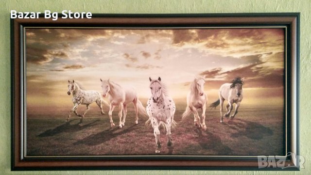 Картина Коне Апалуза. Размери 49 см. / 89 см.