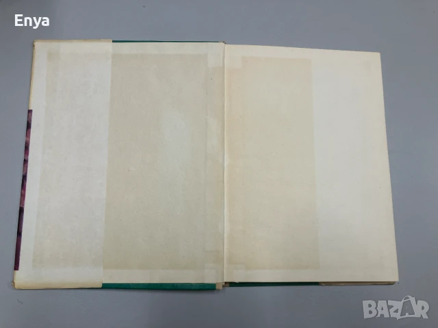 Най-скъпият подарък - Ангел Каралийчев, снимка 2 - Детски книжки - 50997168