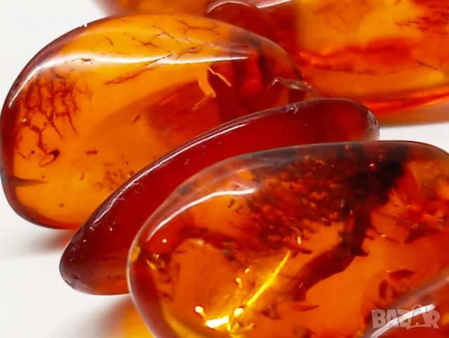 Кехлибар , снимка 7 - Колиета, медальони, синджири - 53367433