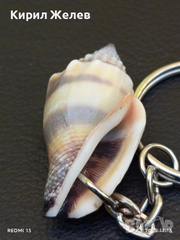 Ключодържател раковина красив спомен от морето 33260, снимка 3 - Други - 51525234