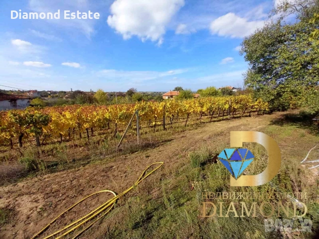 Двуетажна къща в село Хлябово, общ. Тополовград, снимка 18 - Къщи - 52153825