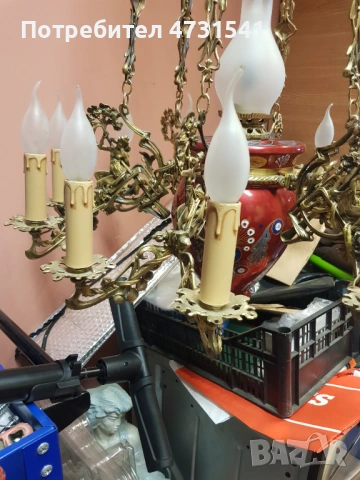 Полилей, снимка 15 - Полилеи - 53398820