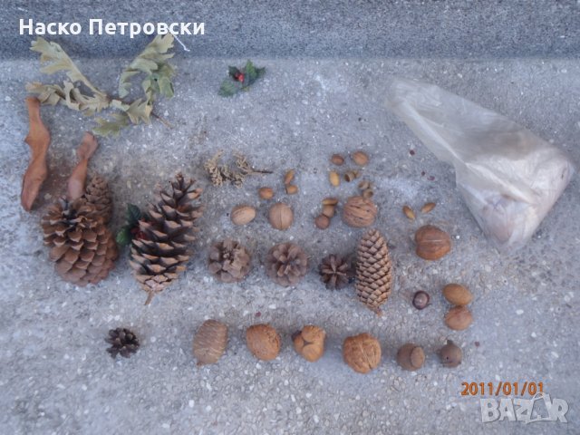 Декоративни шишарки, орехи, жълъди, кестени и САХАРСКИ пясък.
