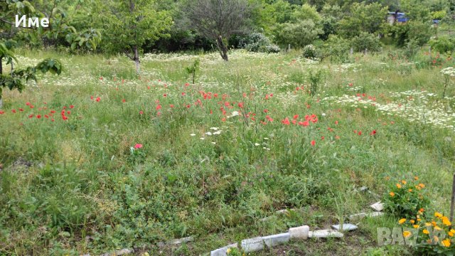 Косене на трева и други градинарски услуги - за гр.Бургас и региона, снимка 2 - Други услуги - 40321738
