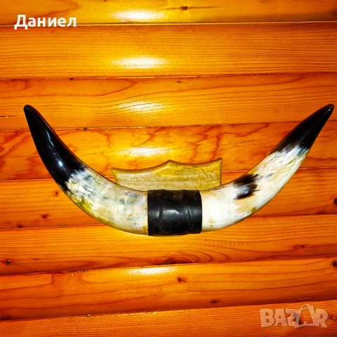 Декорация от рога на воден бивол, снимка 6 - Декорация за дома - 52028966