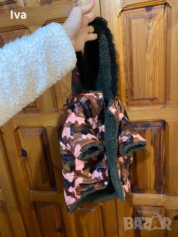 Шушляково яке за куче