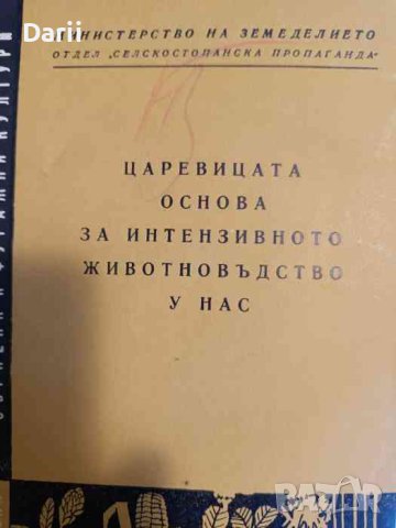 Царевицата основа на интензивното животновъдство у нас- Д. Вълчанов, Ив. Добрева