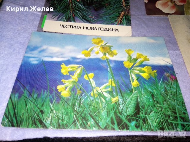ЛОТ 4 Стари ПОЩЕНСКИ КАРТИЧКИ ФЛОРАЛНА ТЕМАТИКА ЦВЕТЯ НОВА ГОДИНА 36019, снимка 4 - Филателия - 39421172