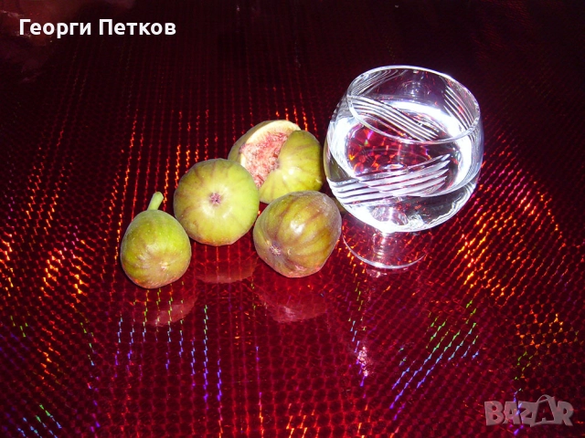 Смокини сорт Бяла Кадота., снимка 7 - Градински цветя и растения - 40184578