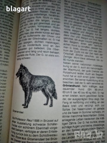 "Енциклопедия на кучето"-Германия, снимка 5 - Специализирана литература - 33458448