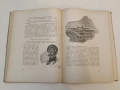 Мъртви души - Николай В. Гогол (1956, богато илюстровано издание, А4 формат), снимка 10