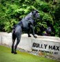 Протеини за кучета Bully Max, снимка 2