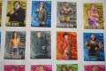 WWE Албум с WWE 26 Кеч Карти Topps Shad/Victoria/Ashley/Torrie Wilson/Daivari/Tazz/Mark Henry/, снимка 6
