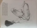 Ръководство за рисуване, снимка 5