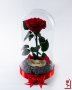 Вечна Роза (ЕСТЕСТВЕНА) в ГОЛЯМА стъкленица / Уникален подарък за рожден ден на жена, снимка 8