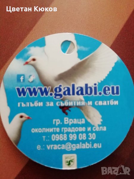 Гълъби за сватби и събития , снимка 1