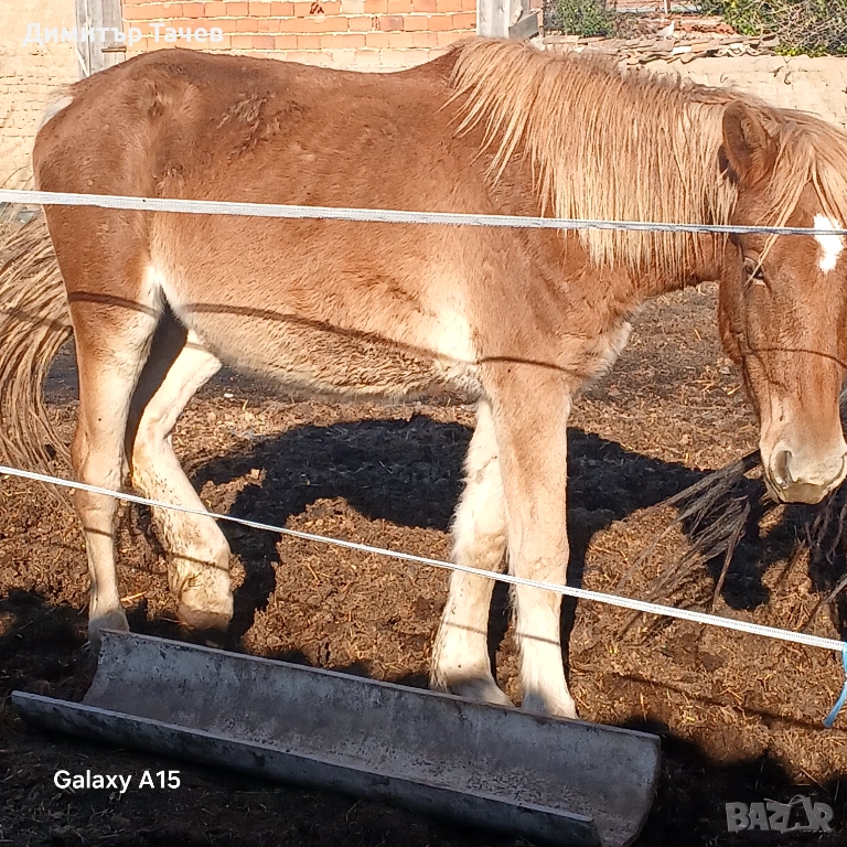 Тежковоз, снимка 1