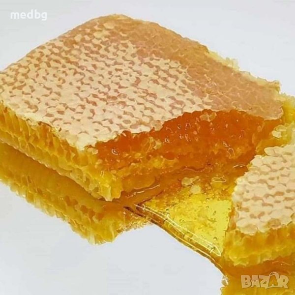 Пчелна пита с мед / Мед в пита, снимка 1