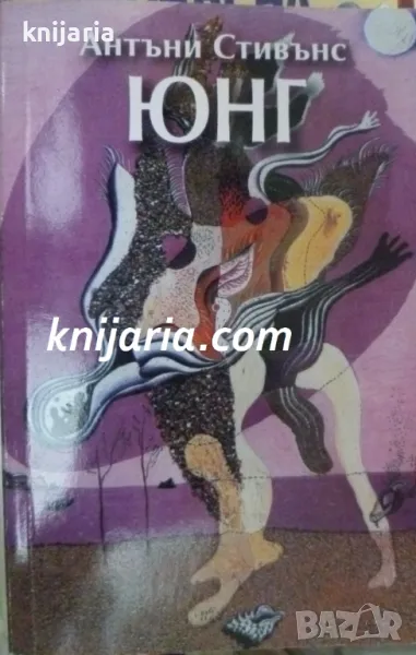 Юнг: Кратко въведение, снимка 1