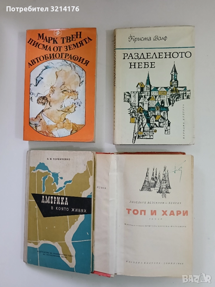 Разделеното небе - Криста Волф, снимка 1