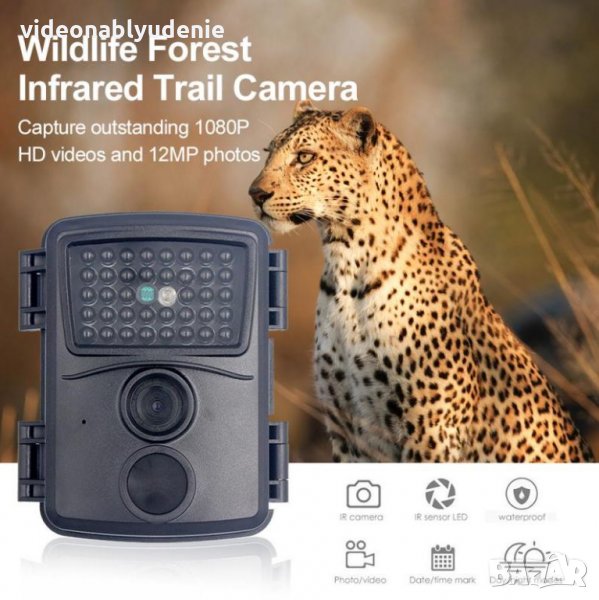 Водонепромокаема FULL HD 1080P Ловна Камера Аудио Видео Фото Капан Нощно Виждане PIR Сензор Движение, снимка 1