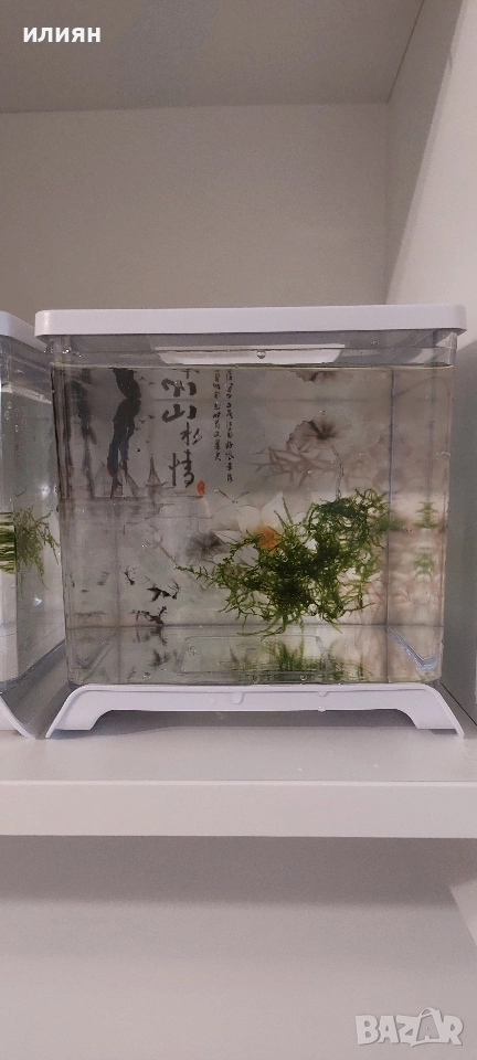 Аквариуми Hailea 2л., снимка 1