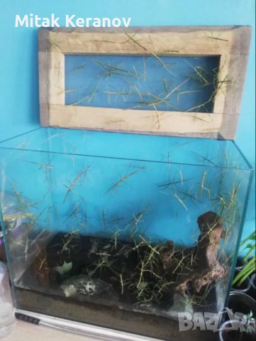 Аквариуми и терариуми с оборудване, снимка 5 - Аквариуми - 43006921
