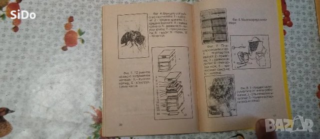 Лот от Пчеларски вестник,списание ПЧЕЛАР,Календарен справ.по Пчеларство и Наръчник на младия пчелар, снимка 15 - Колекции - 50209551