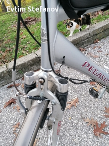 Немски велосипед със седем (вътрешни) скорости, снимка 11 - Велосипеди - 52747278