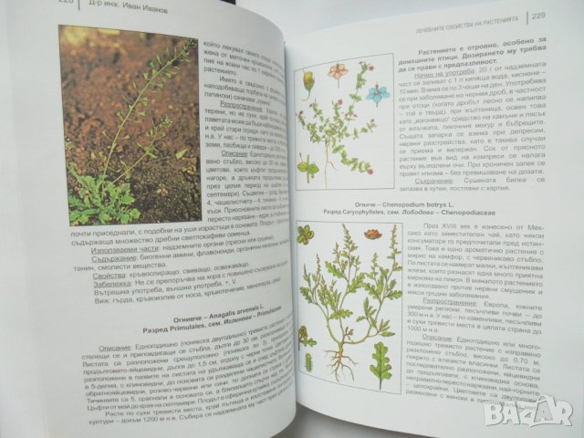 Книга Лечебните свойства на растенията - Иван Иванов 2018 г., снимка 2 - Други - 32871127
