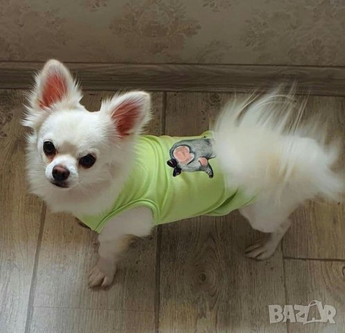 Дрехи за кучета и котки. Зелена тениска за куче. Бяла блуза за куче. Кучешки дрехи. Дрехи за кучета , снимка 6 - За кучета - 30568131