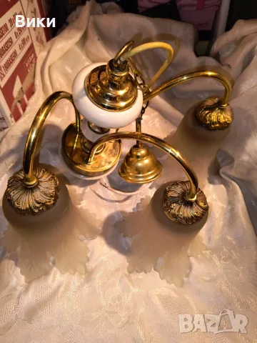 Полилей, снимка 18 - Полилеи - 34571311